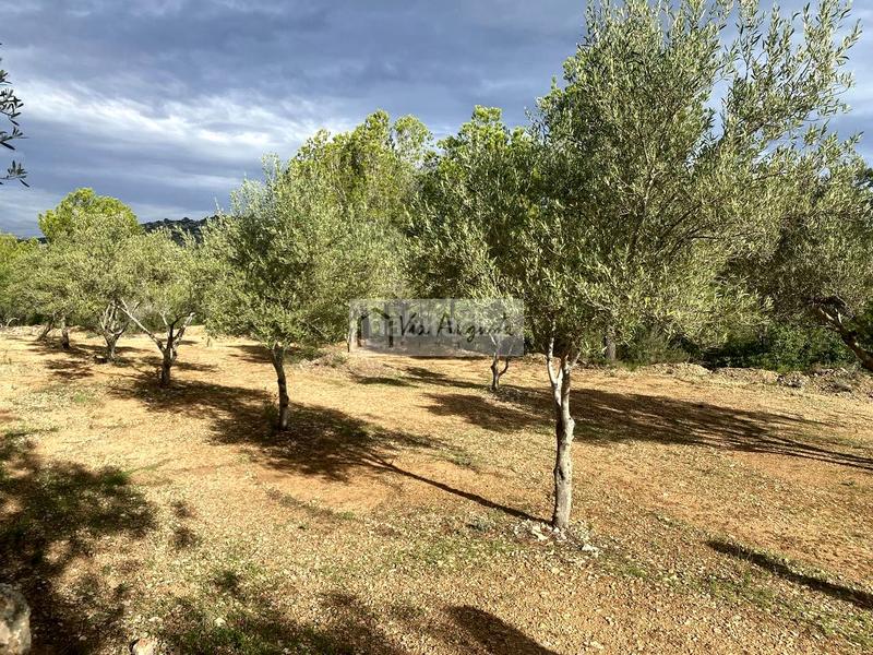 Foto a6e59a68-dd8f-4c9a-8252-160bb8bec43e. Landgut in Ampolla (L´)