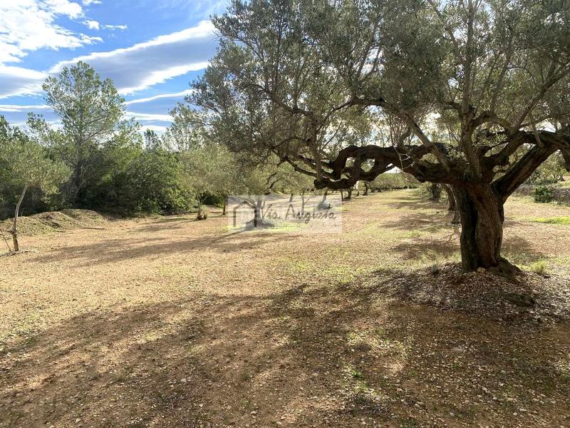 Foto 2c39b005-0318-4d1e-8d57-1c8b8a6a2338. Propriété dans Ampolla (L´)