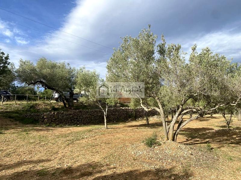 Foto 5830fc5c-1b8c-420b-9b56-6e7b06ae89b4. Propriété dans Ampolla (L´)