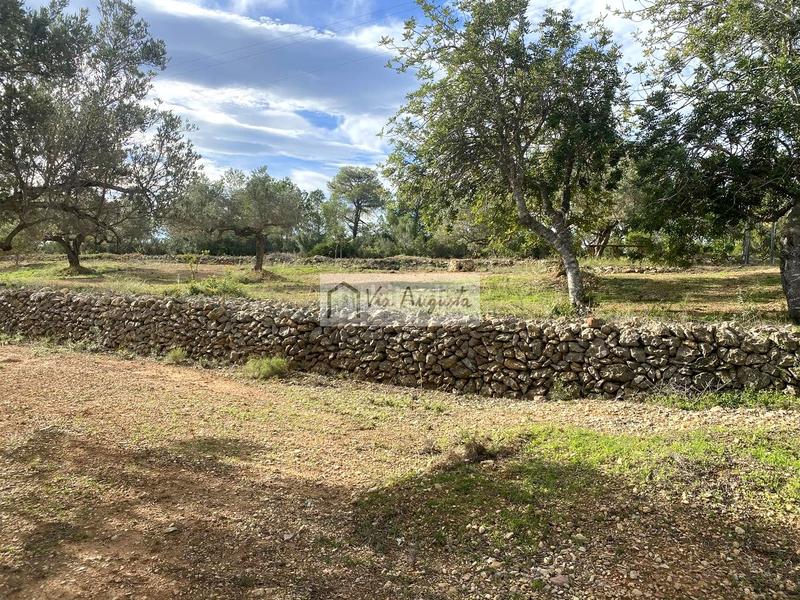 Foto 01352044-9f6d-4c61-a85a-f720432df35c. Finca rústica en Ampolla (L´)