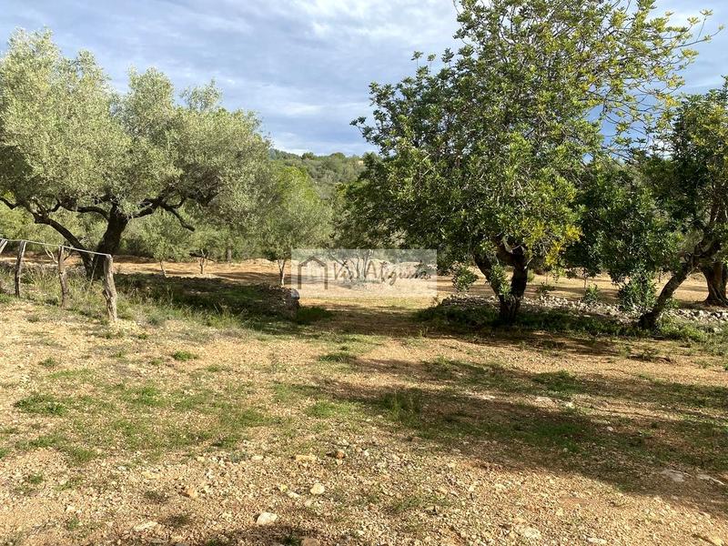 Foto 8c1f5afb-088e-4259-9018-156055214f22. Finca rústica en Ampolla (L´)