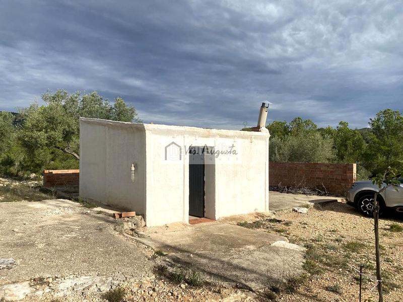 Foto bd6aea8d-0242-40c1-9eb9-9b29f36ddde5. Finca rústica en Ampolla (L´)