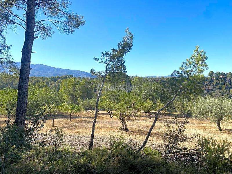 Foto 20e59e3c-f435-463b-8e7b-663a3c19283c. Wohngrundstück in Xerta