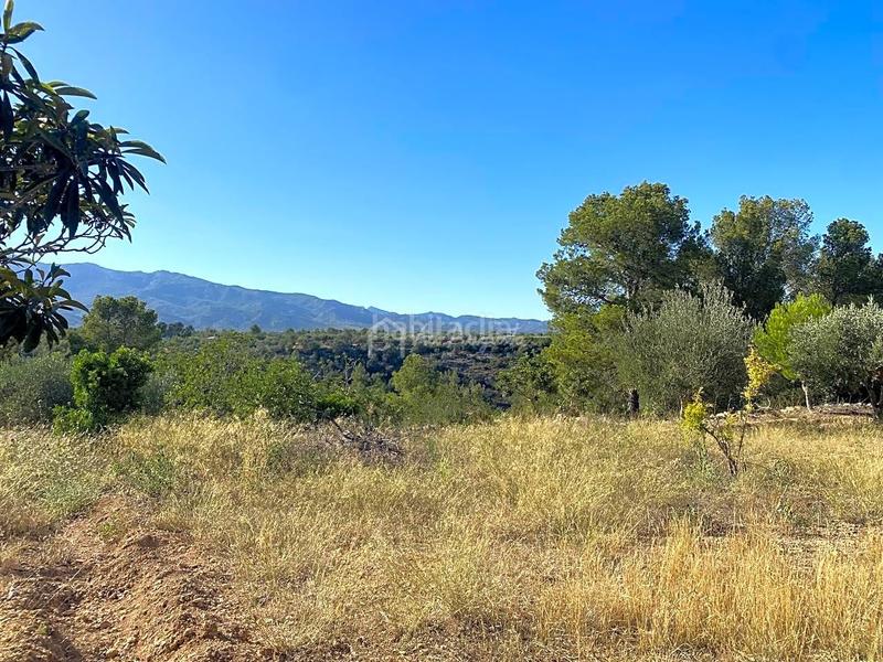 Foto 237792b2-4972-486d-8b0e-b9b797d56c07. Wohngrundstück in Xerta