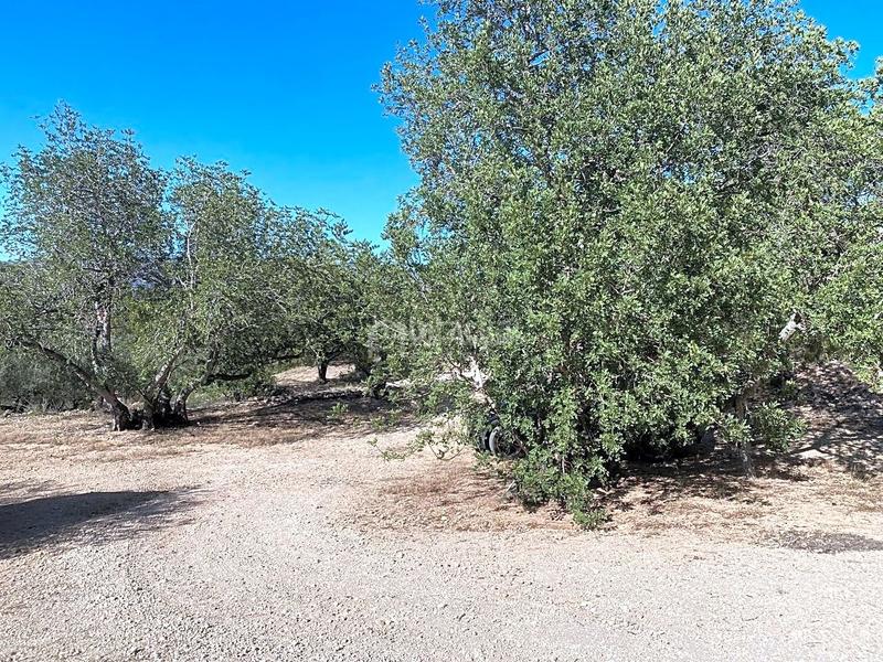 Foto 251ecf0b-8946-4973-b4e2-3d61d317ed12. Wohngrundstück in Xerta