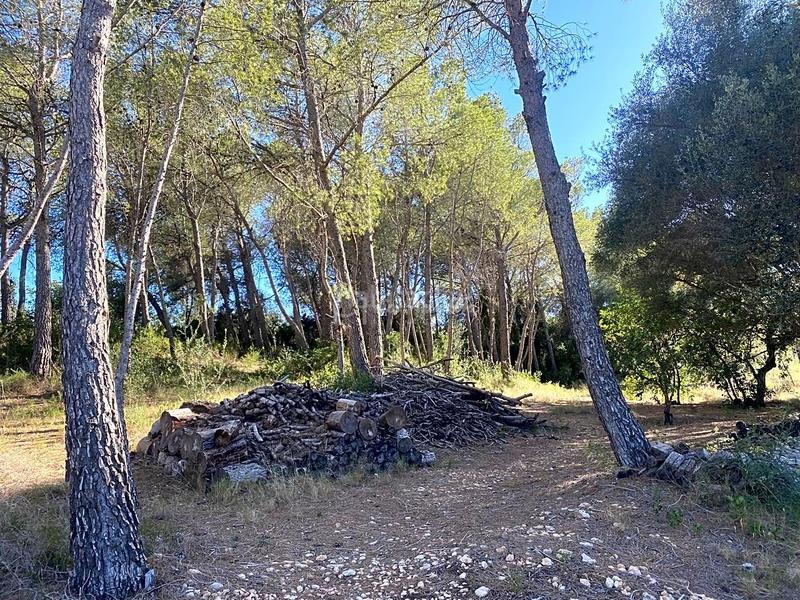 Foto 341fca39-b600-4e76-b6d6-fd05938aa45f. Wohngrundstück in Xerta