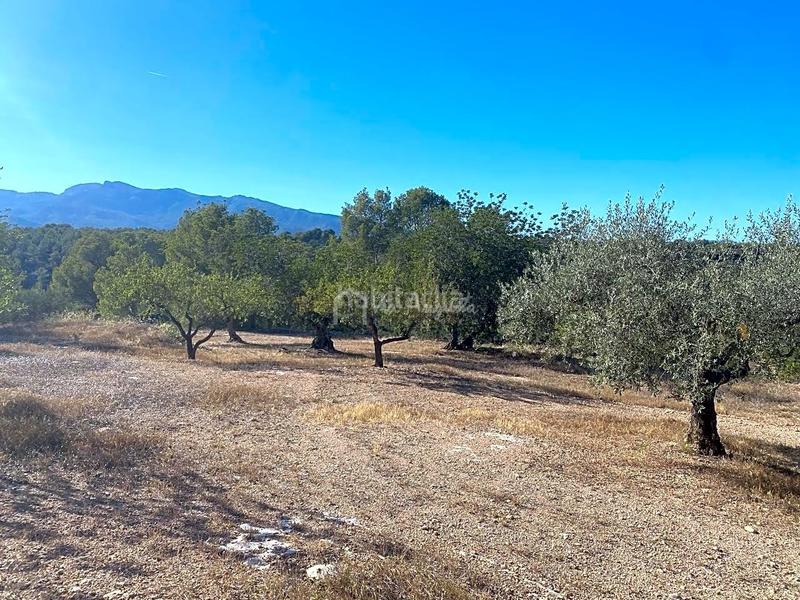 Foto 3f0b26d1-b119-4502-9f3f-56b22cf83747. Wohngrundstück in Xerta