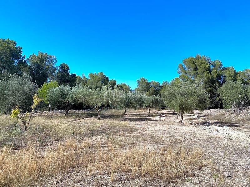 Foto 61e91058-47d3-484d-9b1d-480eb87a8215. Wohngrundstück in Xerta