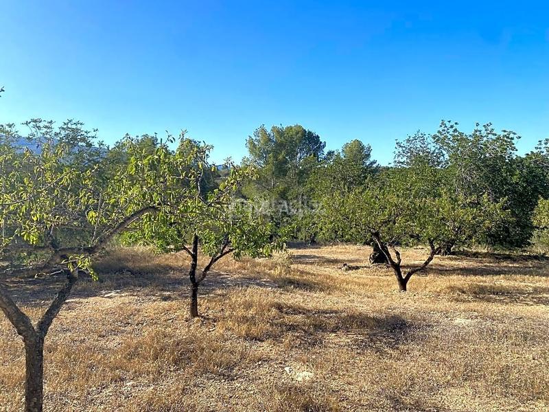 Foto 62a7a52f-ec55-4140-be8a-99eb0fcb8d54. Wohngrundstück in Xerta