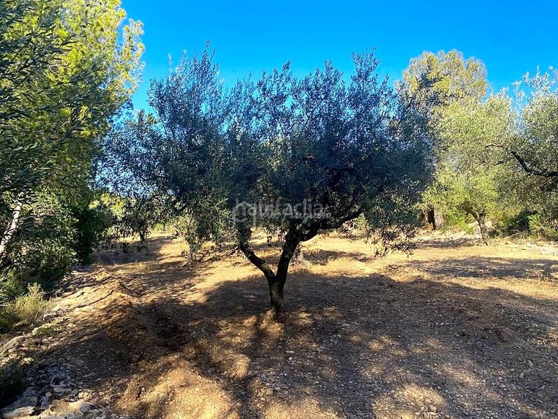 Foto 8b18d213-c741-4f57-b3af-7a9c1045e6ba. Wohngrundstück in Xerta