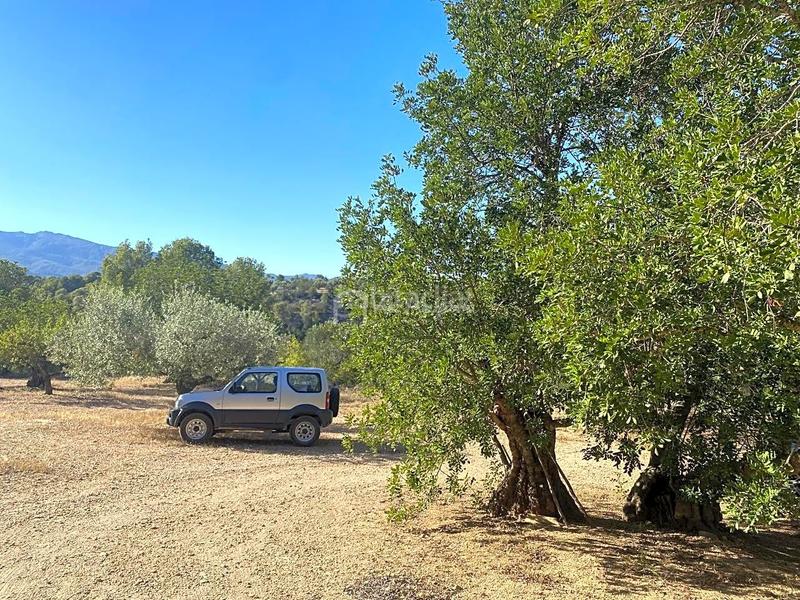 Foto 8cba41fc-6589-4bea-a43a-b9e451666fb5. Wohngrundstück in Xerta