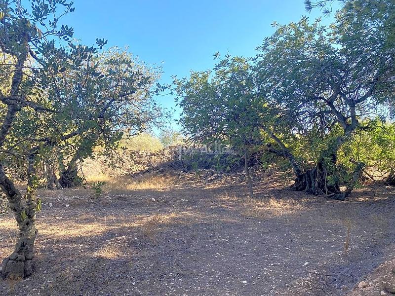 Foto a217e425-1110-4a37-bca8-635d037e6332. Wohngrundstück in Xerta