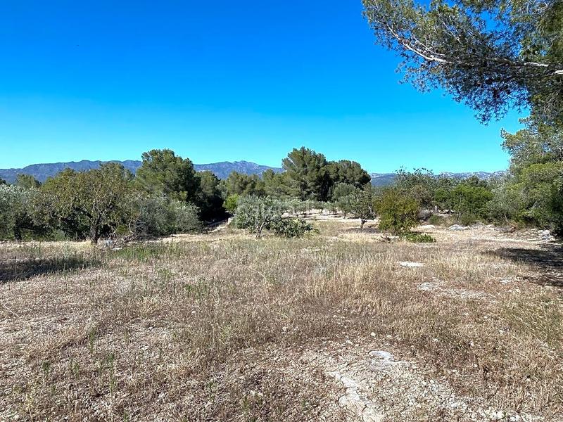 Foto ac48d83e-cbf8-465e-9c15-dce2d658e04f. Wohngrundstück in Xerta