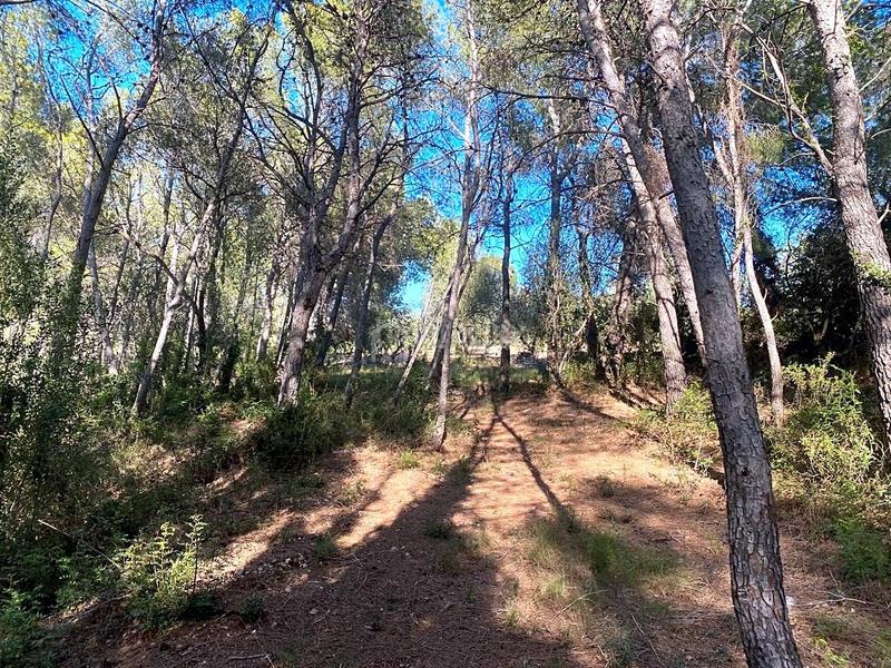 Foto afb2dc66-a486-4223-8264-9d0051587c64. Wohngrundstück in Xerta