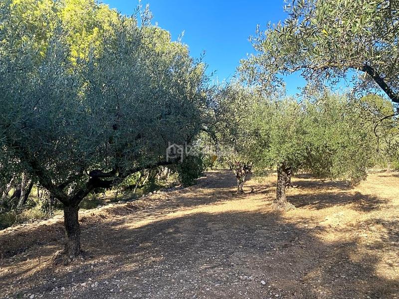 Foto b61a5d53-8c58-40d0-bf5c-6a6c8334084e. Wohngrundstück in Xerta