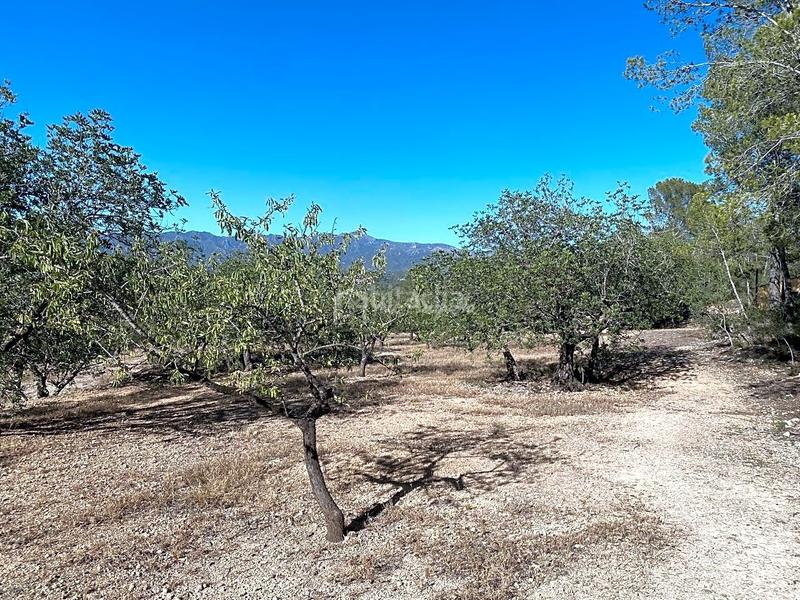 Foto ccad9aa2-1a75-451f-981c-14d764233f7b. Wohngrundstück in Xerta