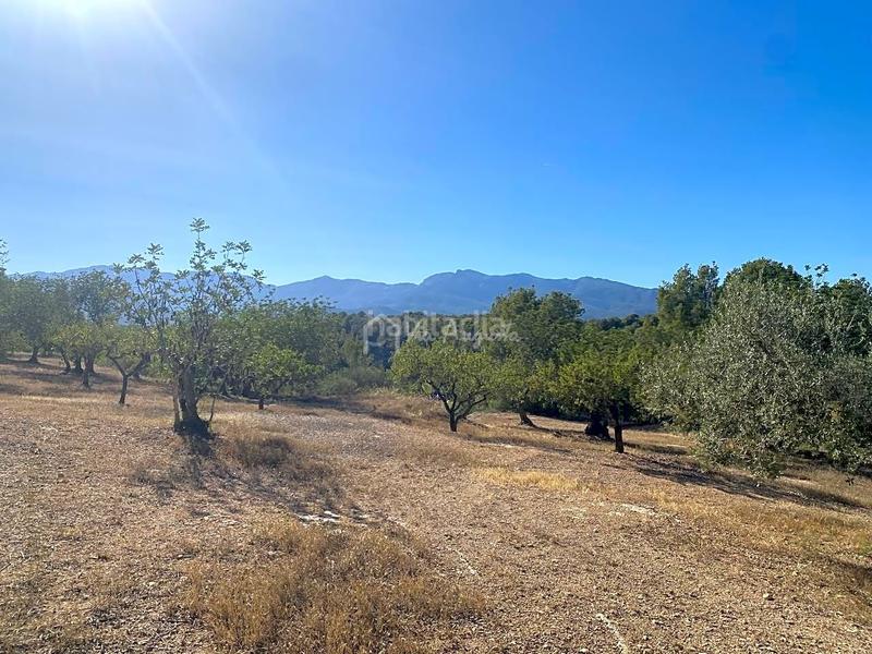 Foto e29caef1-1a4a-4c30-9c11-0893ac1de0ce. Wohngrundstück in Xerta