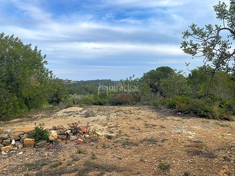 Foto 15837c66-f362-4de0-b569-46b87d4bab10. Finca rústica a Perelló (El)