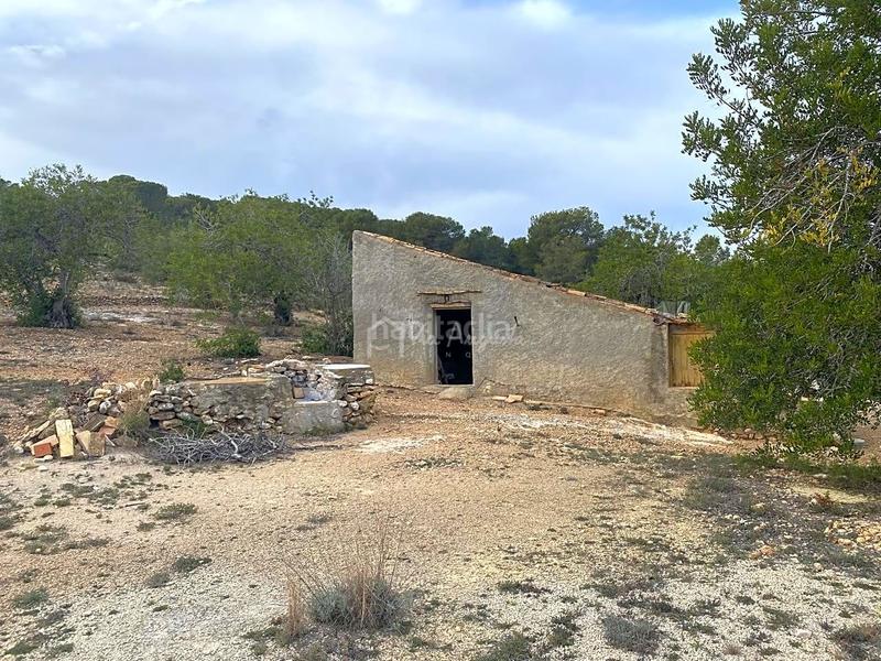 Foto 6865a157-6e22-4d72-bef1-99250820502b. Finca rústica a Perelló (El)