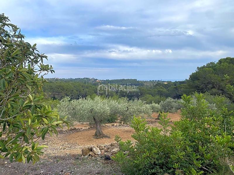 Foto c720ec73-97fb-42ee-99e9-d446ba371602. Finca rústica a Perelló (El)