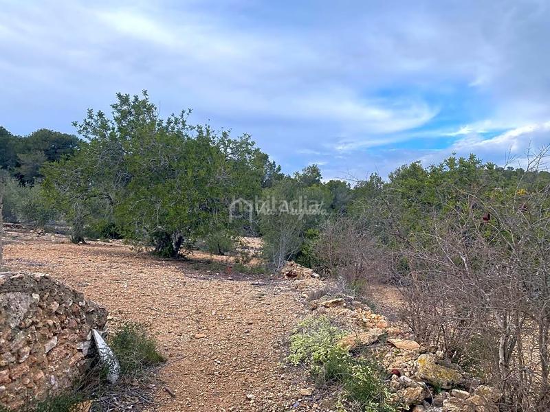 Foto c91cc2b9-df5c-446a-b1ce-aa6614639d07. Finca rústica a Perelló (El)