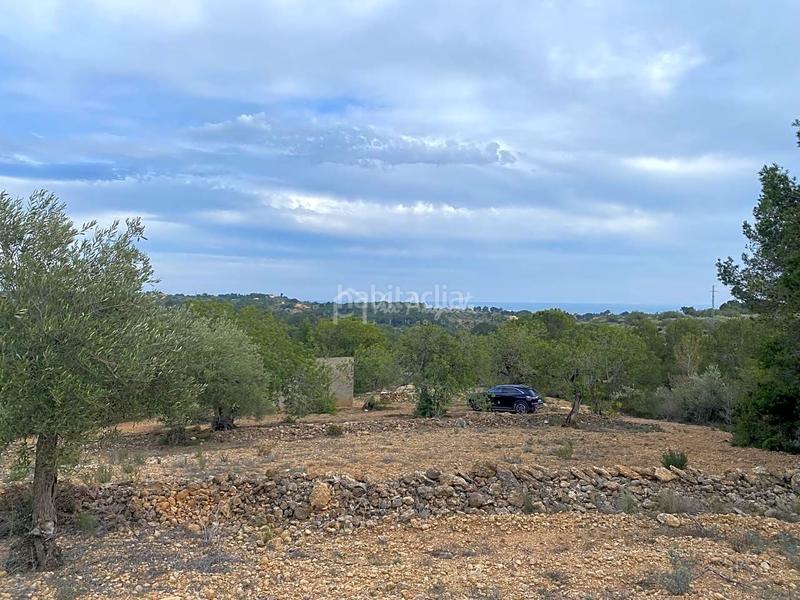 Foto dde2a381-e64b-4bfd-a670-6e0d2a25b450. Finca rústica a Perelló (El)
