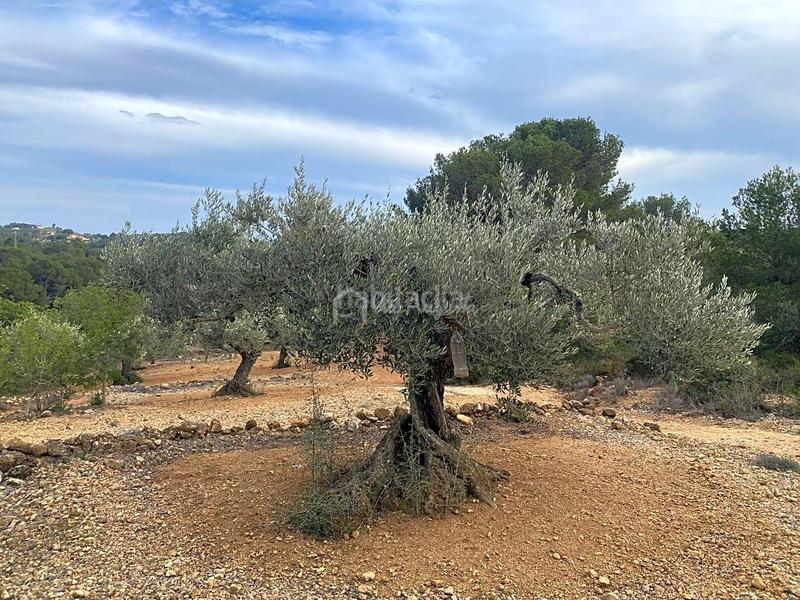 Foto e02f98de-a783-468b-8865-8472068d9842. Finca rústica a Perelló (El)