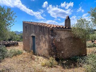 Finca rústica  Burga
