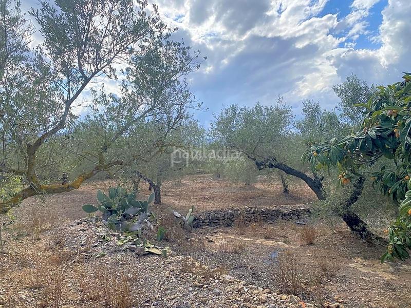 Foto 0df95b49-0c32-48c5-9feb-43b851fbb433. Masia amb aparcament a Perelló (El)