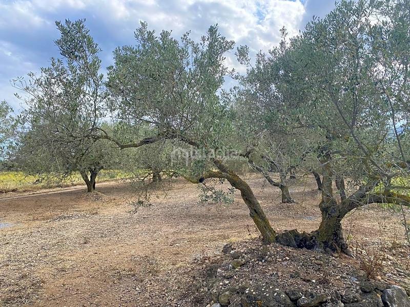 Foto 126f52bd-b306-4a89-9900-e509e3b5ffa7. Masia amb aparcament a Perelló (El)