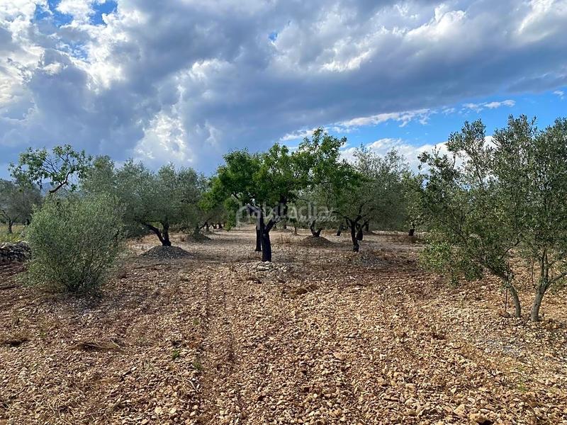 Foto 2054790e-2be0-4693-a921-bc65c792d97a. Masia amb aparcament a Perelló (El)