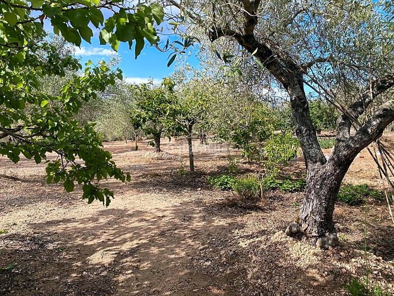 Foto 54fbba97-c476-40c1-92b8-1284e02c6346. Masia amb aparcament a Perelló (El)