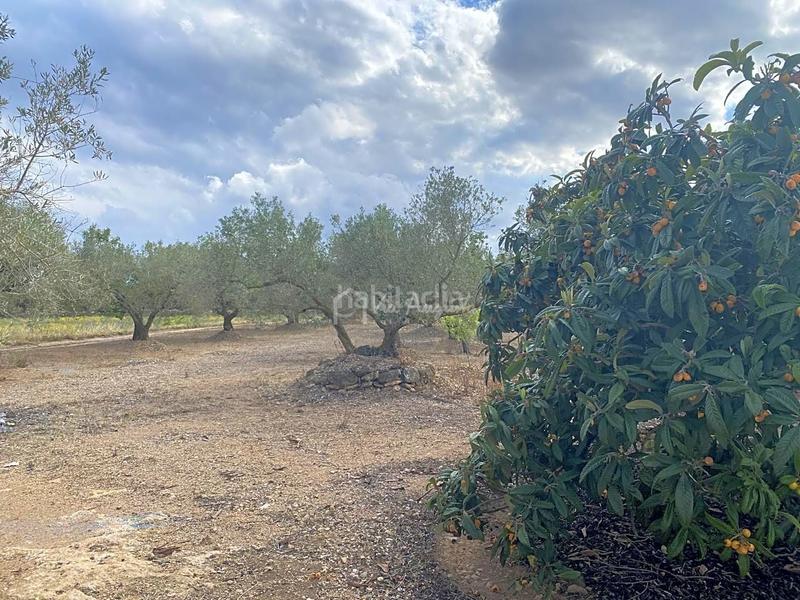 Foto 65a8035f-8b05-4d6c-a921-1afa26a18019. Masia amb aparcament a Perelló (El)