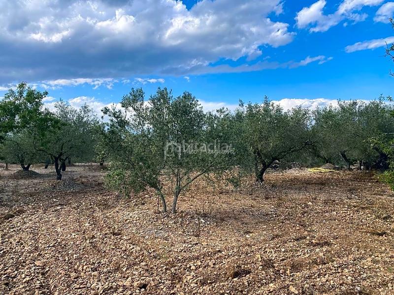 Foto 67cf40aa-d232-4d95-b153-916190c7921d. Masia amb aparcament a Perelló (El)