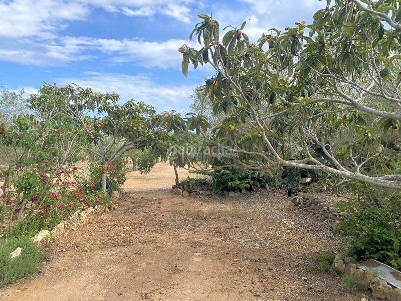 Foto 86d0d71d-efe3-40f2-8b65-ed87634bdeb8. Masia amb aparcament a Perelló (El)