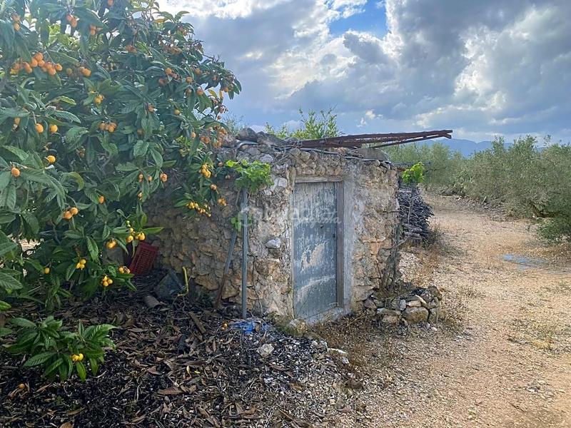 Foto 993bc0dd-4afc-447a-a36b-1225d0fcf816. Masia amb aparcament a Perelló (El)