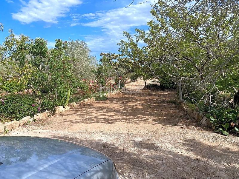 Foto a06f80d1-0d42-4dbc-a36e-d0f18dce0dab. Masia amb aparcament a Perelló (El)