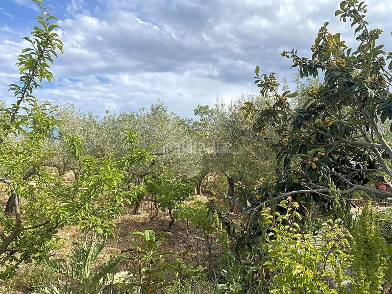 Foto bcc0c8f5-4954-48d2-81ec-00e9685eced2. Masia amb aparcament a Perelló (El)