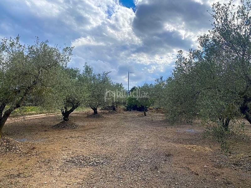 Foto ca506f6d-6285-43f0-91ee-b9c899129b19. Masia amb aparcament a Perelló (El)