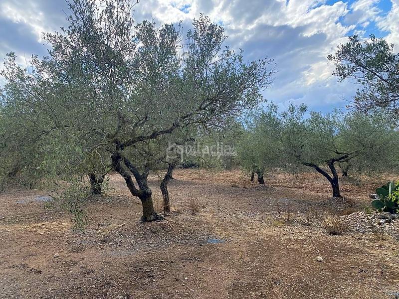 Foto e4788f02-9b57-4c8c-9faf-66faadc4e032. Masia amb aparcament a Perelló (El)