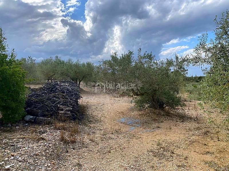 Foto ed7741e9-cca6-477f-9a12-deb9c967c980. Masia amb aparcament a Perelló (El)