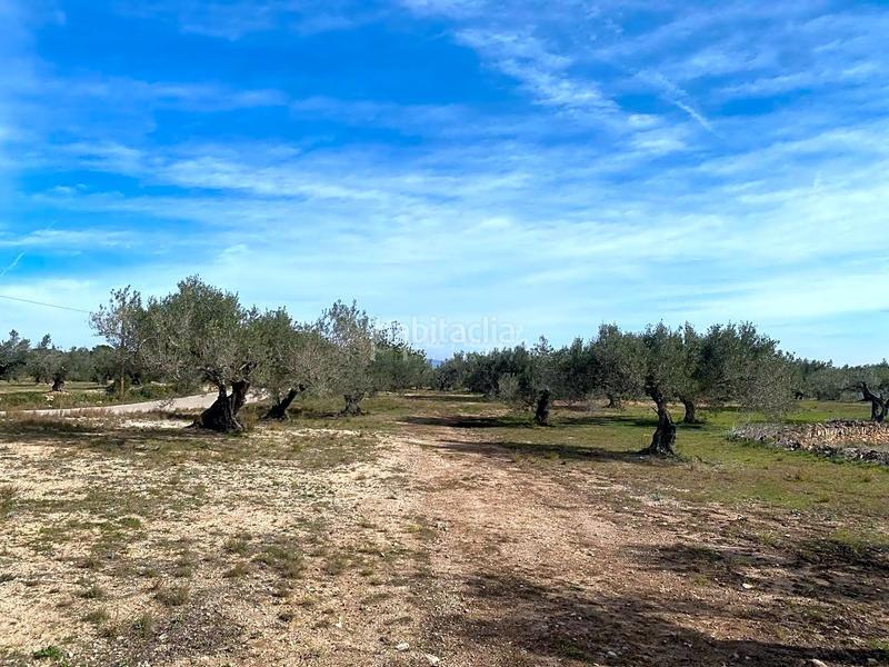 Foto 84d85602-a46a-4734-9d97-1218d1ca0f37. Rural plot in Perelló (El)