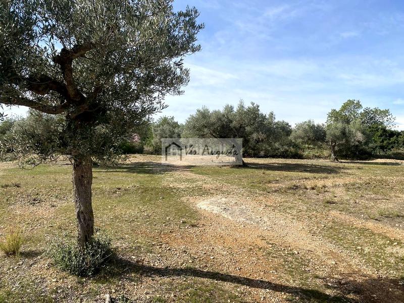 Foto a265b93f-1cc7-4e7b-9e80-46d5fb972ed8. Fondo rustico in Perelló (El)