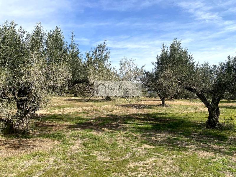 Foto 65957b7c-72ab-49fc-bc8d-daae0a530071. Finca rústica a Perelló (El)