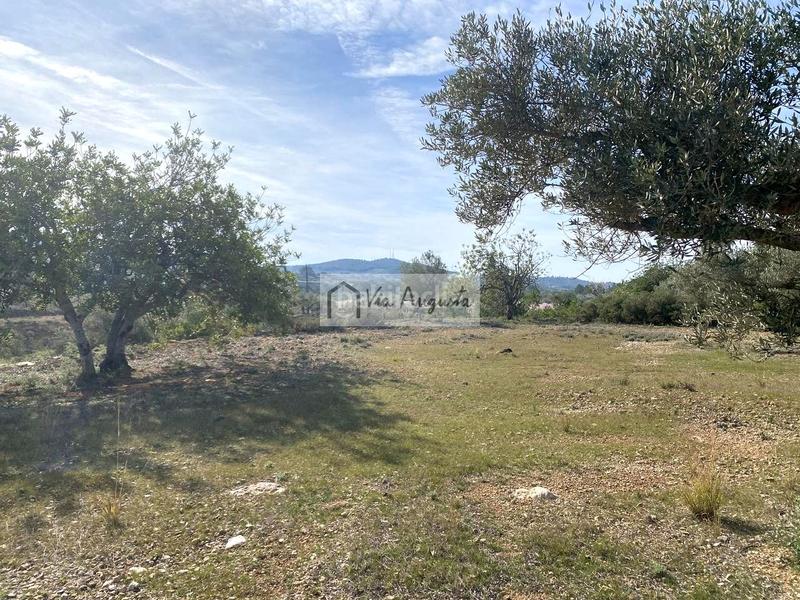 Foto a0612136-a591-4481-b58b-1021847e0011. Finca rústica a Perelló (El)