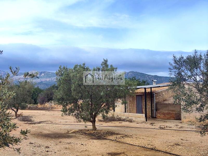 Foto 3d2d0be3-33a5-449a-9325-2835c94978cd. Fondo rustico in Aldover