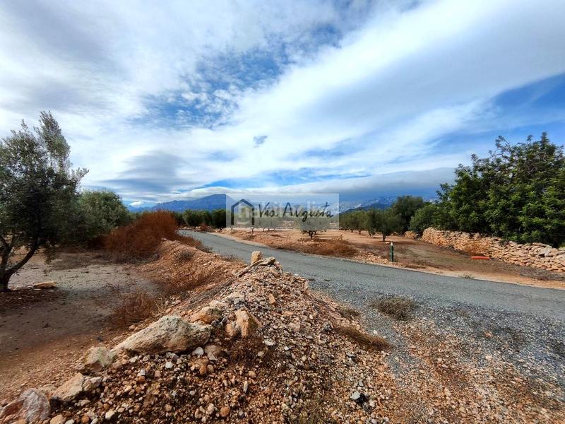 Foto d28d2fa0-4f9c-4d08-88c6-7530e3abe12e. Fondo rustico in Aldover