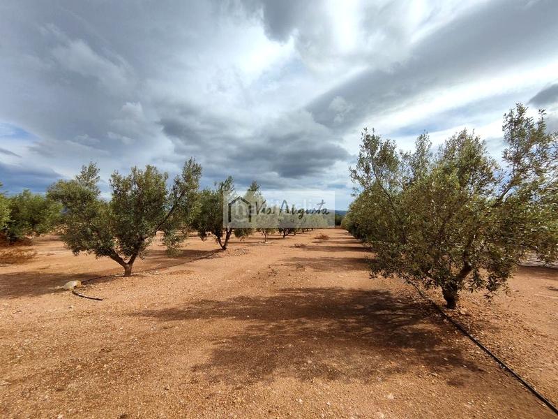 Foto e5113e15-9a61-4454-83d1-7652014be9d9. Fondo rustico in Aldover