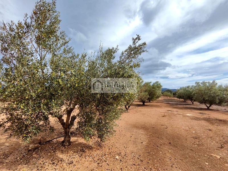 Foto 915a47c9-8b39-4214-ad53-ebe67ef42d2a. Propriété dans Aldover