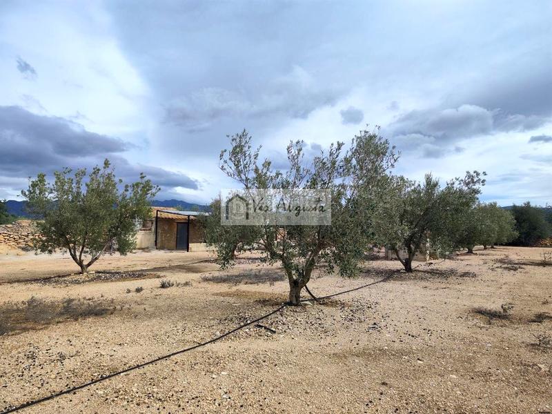 Foto 6a5829d9-e7a3-4773-a895-6f88a24d72d5. Rural plot in Aldover